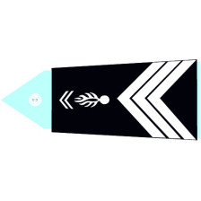 Fourreaux rigide GM - Gendarme de carrière (H)