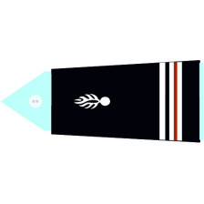 Galon de poitrine Général de Corps d'Armée