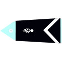 Insignes de bas de manche GD - Lieutenant Colonel