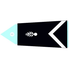 Insignes de bas de manche GD - Lieutenant Colonel