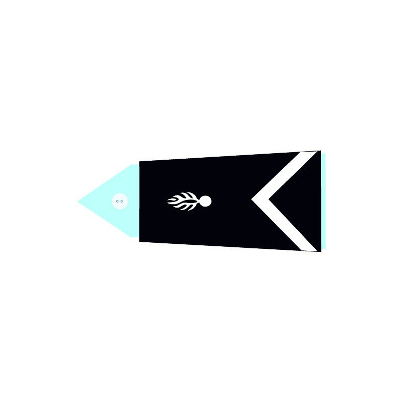 Insignes de bas de manche GD - Lieutenant Colonel