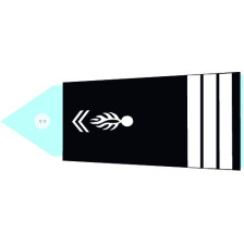 Insignes de bas de manche GM - Major