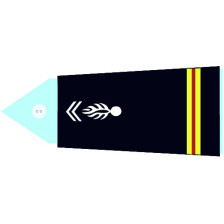 Insignes de bas de manche GD - Commandant