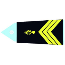 Direction Générale de la Gendarmerie Nationale et Grands Commandements - Ecusson brodé