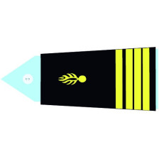 Bandeau Telecom / Informatique pour combinaison antistatique