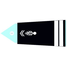 Groupement Blindé de Gendarmerie Mobile - Ecusson brodé
