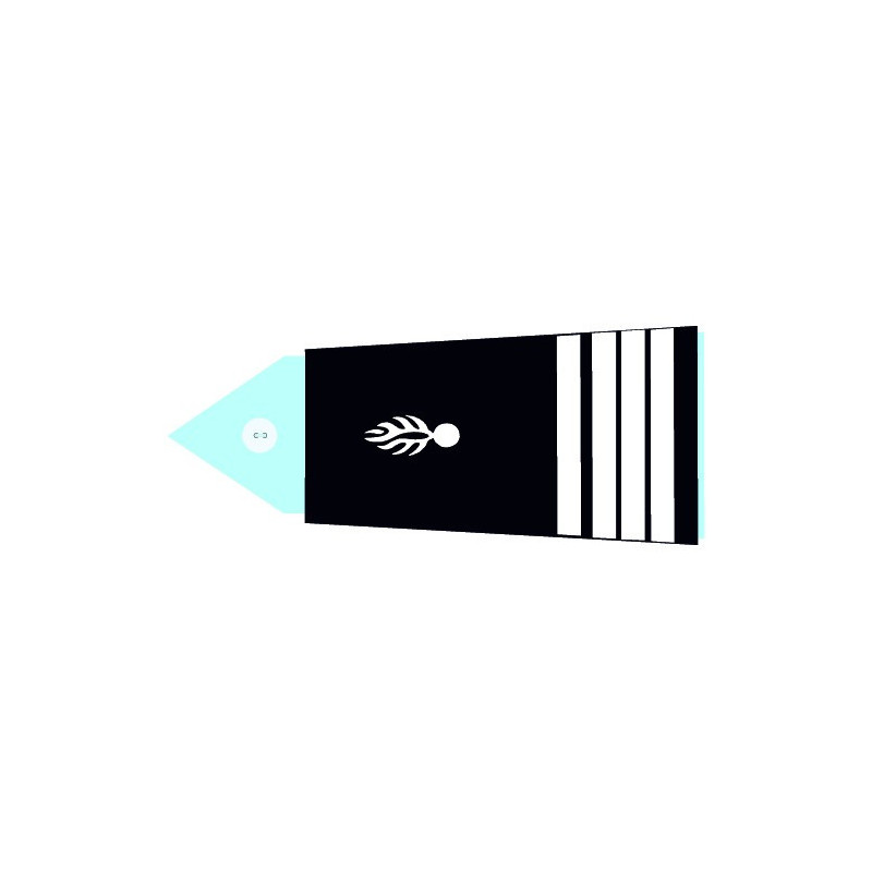 Fourreaux souples main CTA - Commandant (Femme)