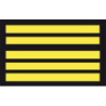 Insignes de bas de manche GM - Colonel