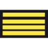 Insignes de bas de manche GM - Commandant