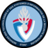 Écusson brodé rond - Services des Technologies et des Systèmes d'Information de la Sécurité Intérieure