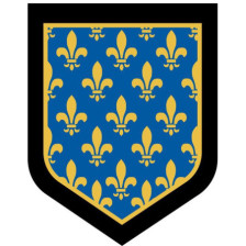 Écusson brodé - Force de...