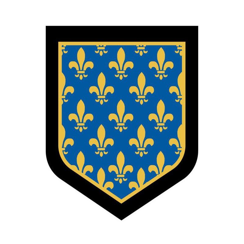 Écusson brodé - Force de Gendarmerie Mobile et d'Intervention
