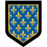 Écusson brodé - Force de Gendarmerie Mobile et d'Intervention