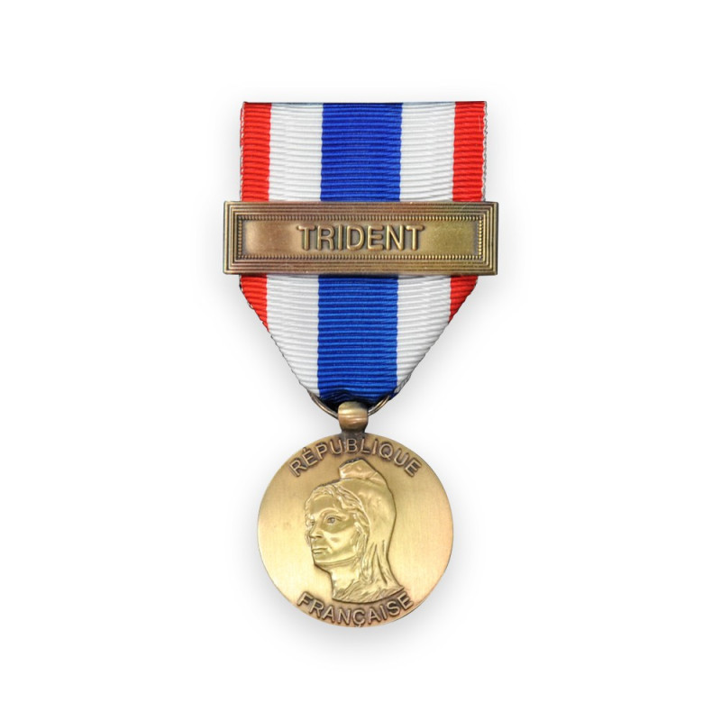Médaille Protection Militaire du Territoire avec Agrafe Trident