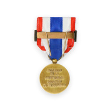 La Médaille Protection Militaire du Territoire avec Agrafe Jupiter