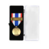 Médaille Protection Militaire du Territoire avec Agrafe Jupiter