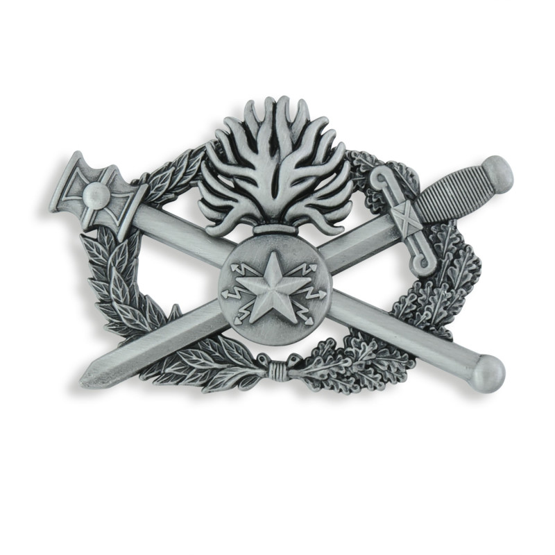 Insigne métallique - Premier niveau des spécialités « télécommunication » et « informatique »