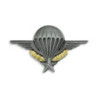 Brevet parachutiste
