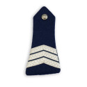 La Médaille Protection Militaire du Territoire avec Agrafe Trident