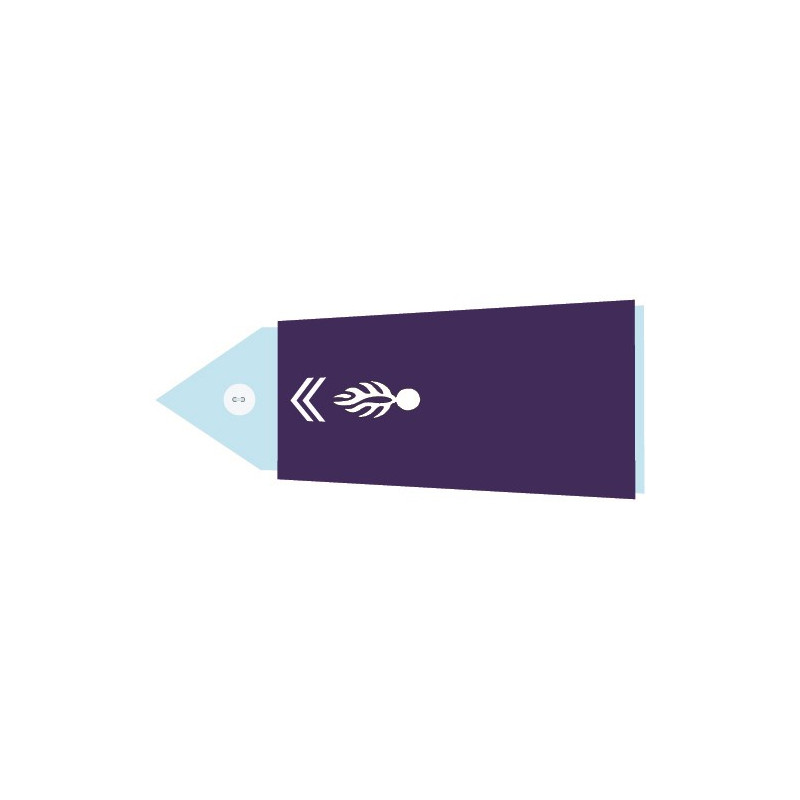 Fourreaux rigides GAV - Gendarme Adjoint 2ème classe (Homme)
