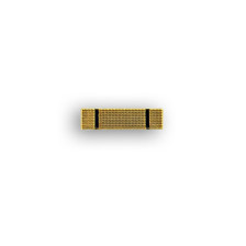 Insigne de calot - OSC