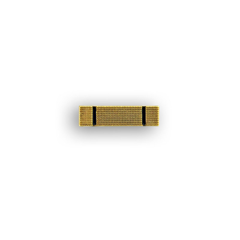 Insigne de calot - OSC
