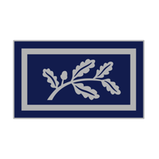 Insigne métallique bonnet...