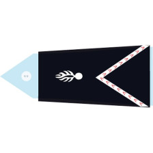 Bouton d'uniforme Gendarmerie mobile
