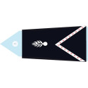 Bouton d'uniforme Gendarmerie Départementale, CTAGN et CSTAGN