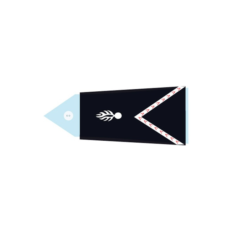 Bouton d'uniforme Gendarmerie Départementale, CTAGN et CSTAGN