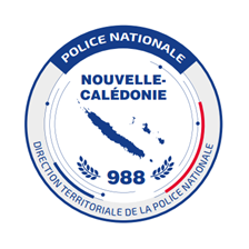 Insigne brodé rond DTPN...