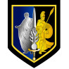 Écu métallique - CRG (Commandement des Réserves)