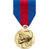Médaille des services militaires volontaires bronze