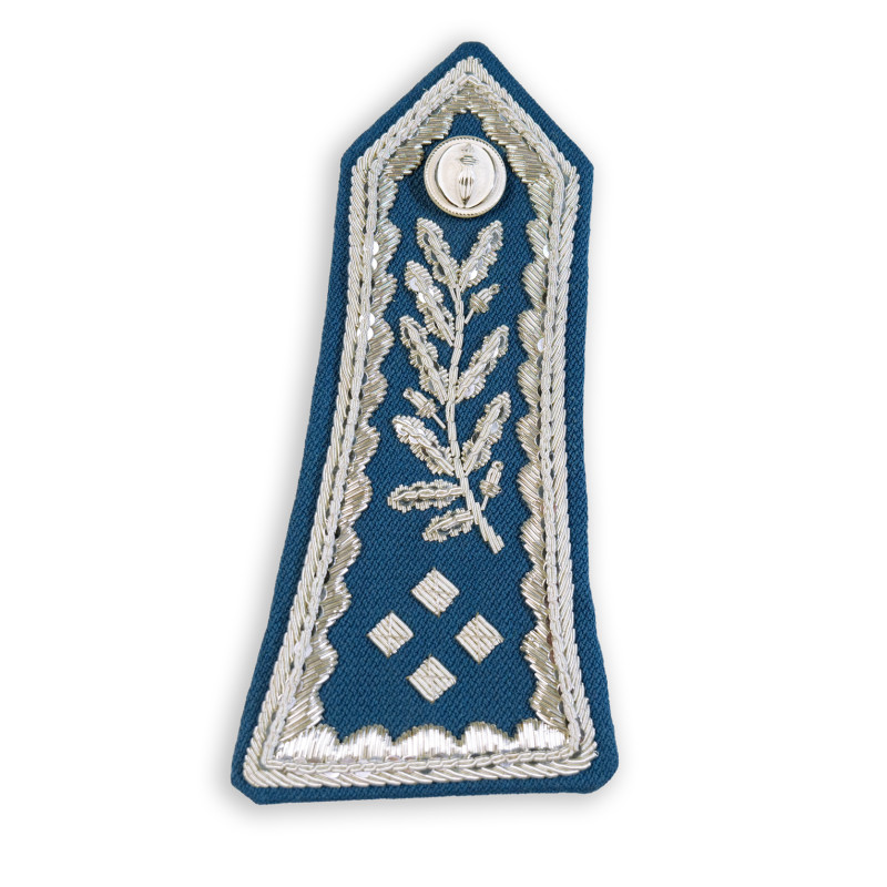 Pattes d'épaules rigides homme Directeur de service actif CRS (broderie main)