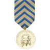 Médaille de la reconnaissance de la nation