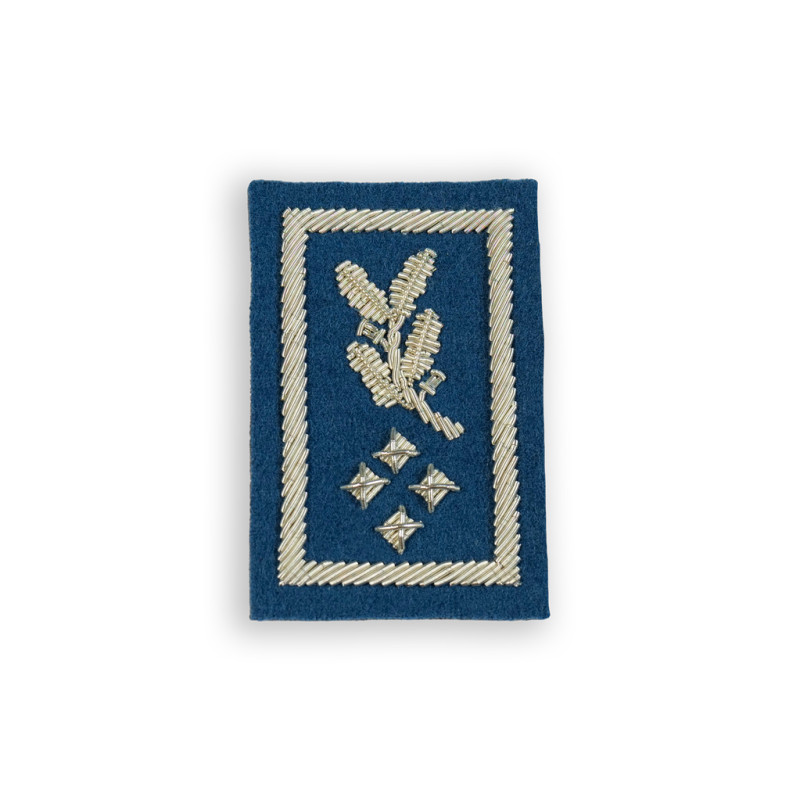 Insigne bonnet DISA CRS (broderie main)