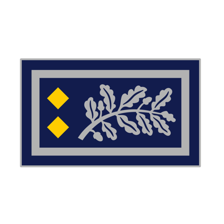 Insigne métallique bonnet...