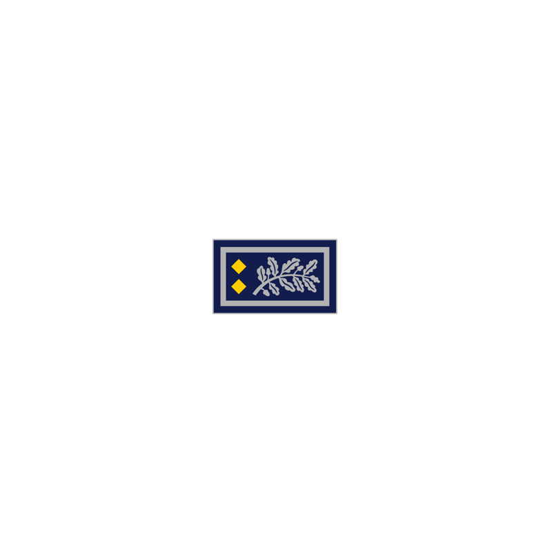 Insigne métallique bonnet Commissaire Général