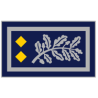 Insigne métallique bonnet Commissaire Général