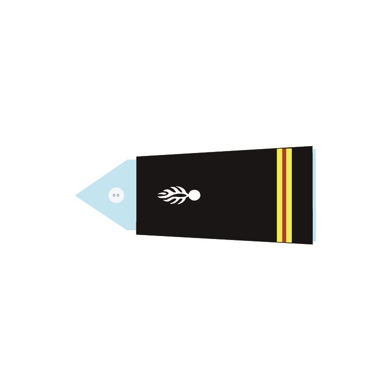 Fourreaux rigides CTA - Adjudant (Femme)