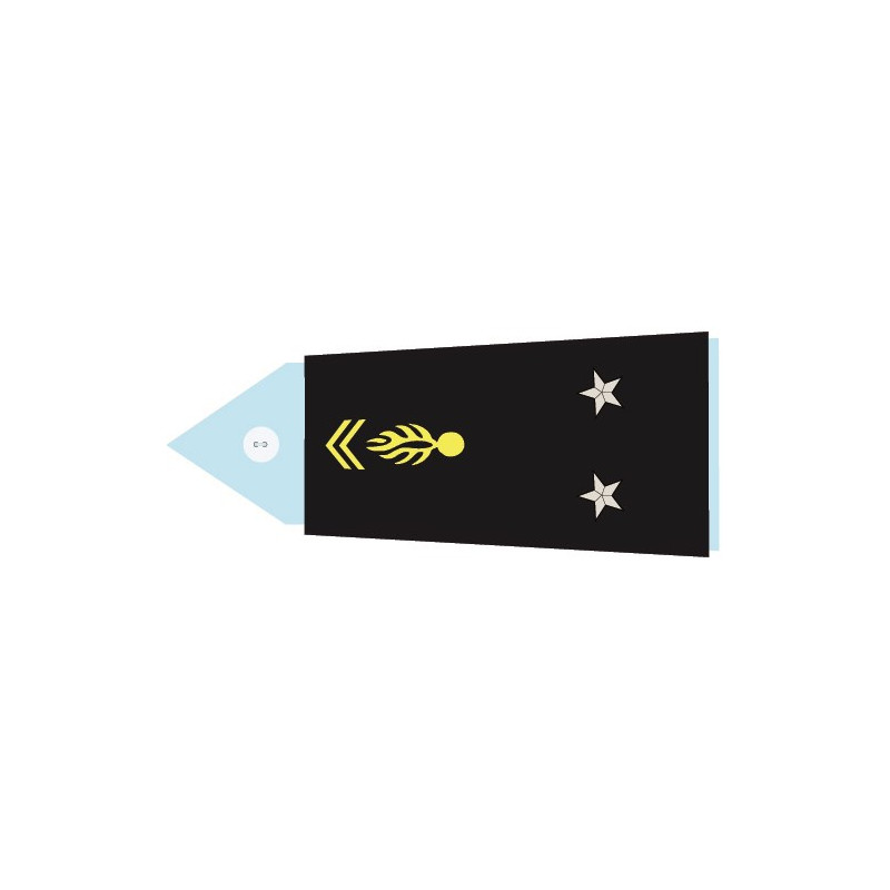 Fourreaux souples main Général de brigade (Femme)