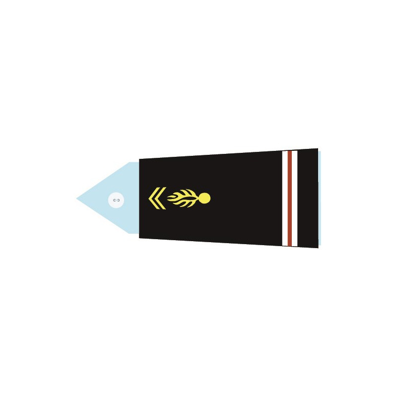 Fourreaux rigides GM - Adjudant (Femme)