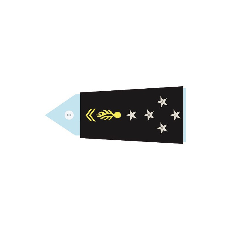 Fourreaux souples main Général d'armée (Femme)