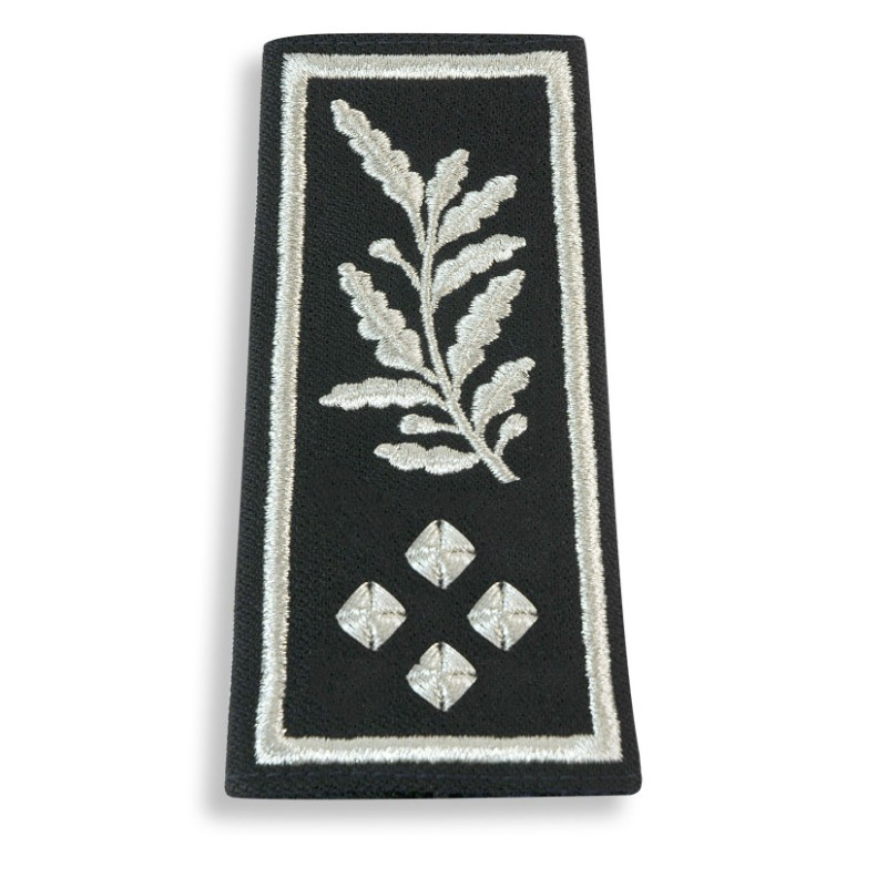 Manchons de grade homme Directeur de service actif SP/PAF (broderie main)