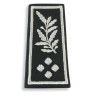 Manchons de grade homme Directeur de service actif SP/PAF (broderie main)