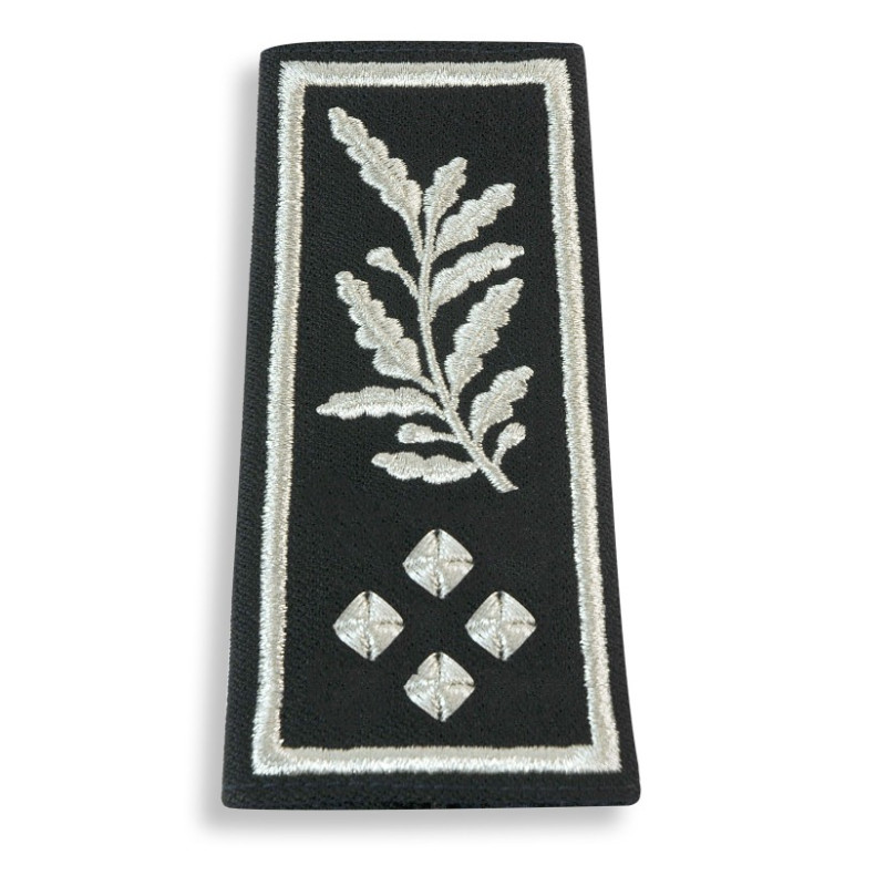 Manchons de grade Directeur de service actif SP/PAF (broderie main) (Femme)