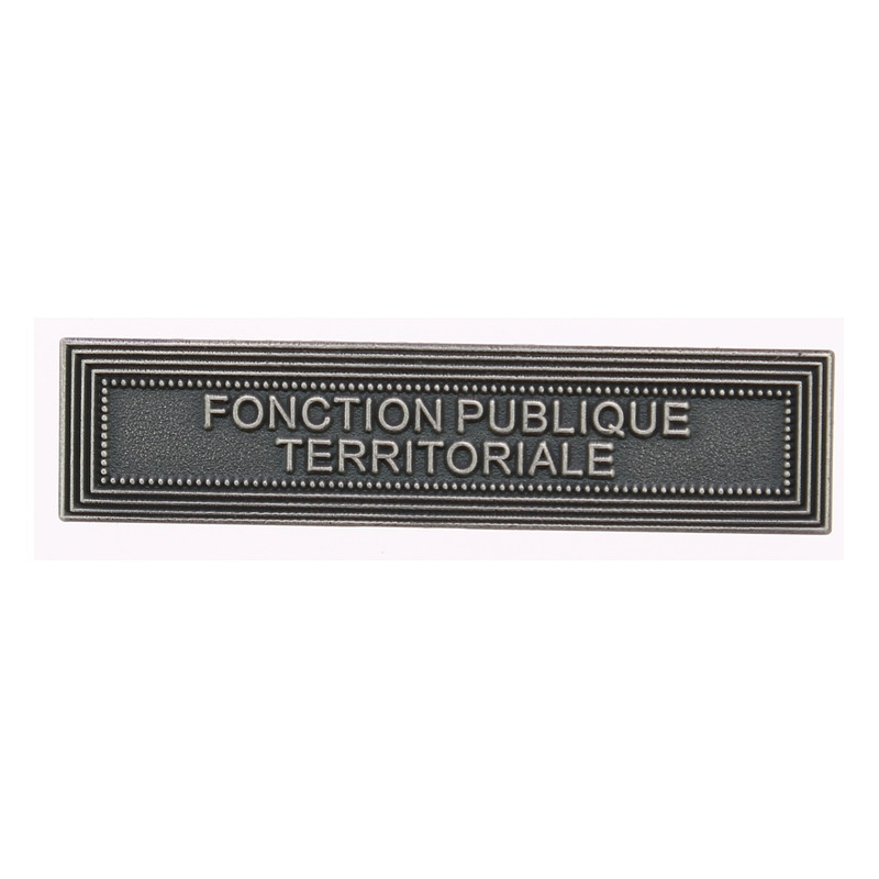 Agrafe pour barrette Fonction publique territoriale Vieil argent