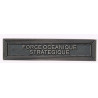Agrafe pour barrette Force océanique stratégique Vieil argent