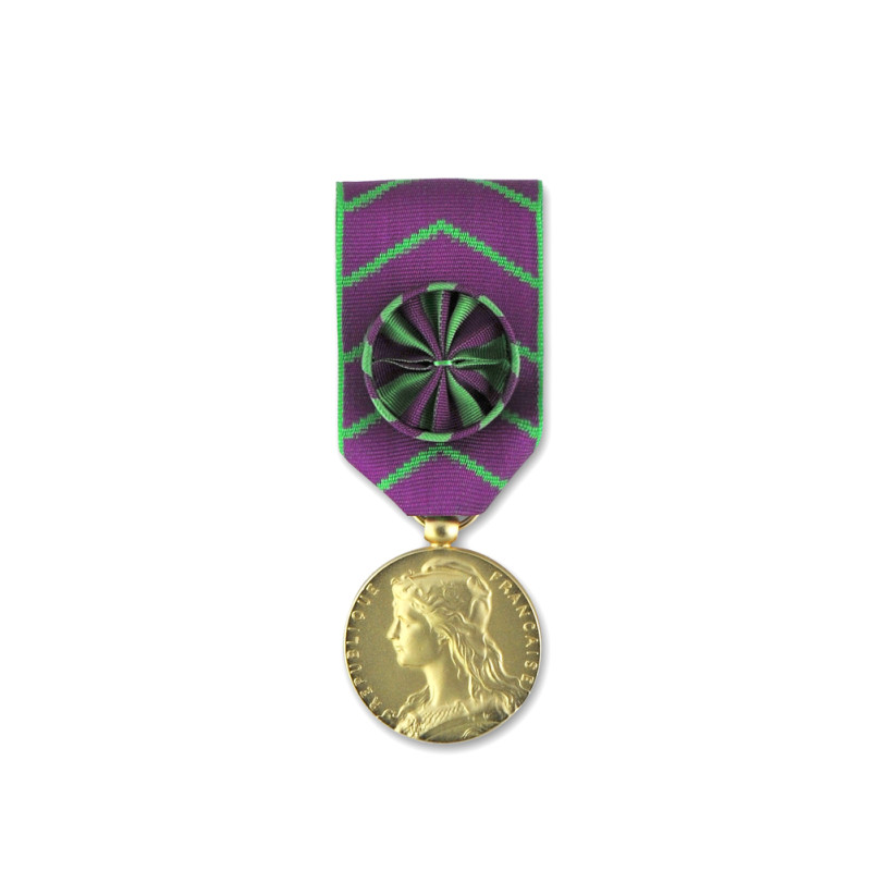 Médaille d'honneur de la protection judiciaire de la jeunesse or