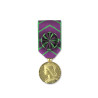 Médaille d'honneur de la protection judiciaire de la jeunesse or